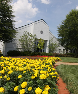 student on campus